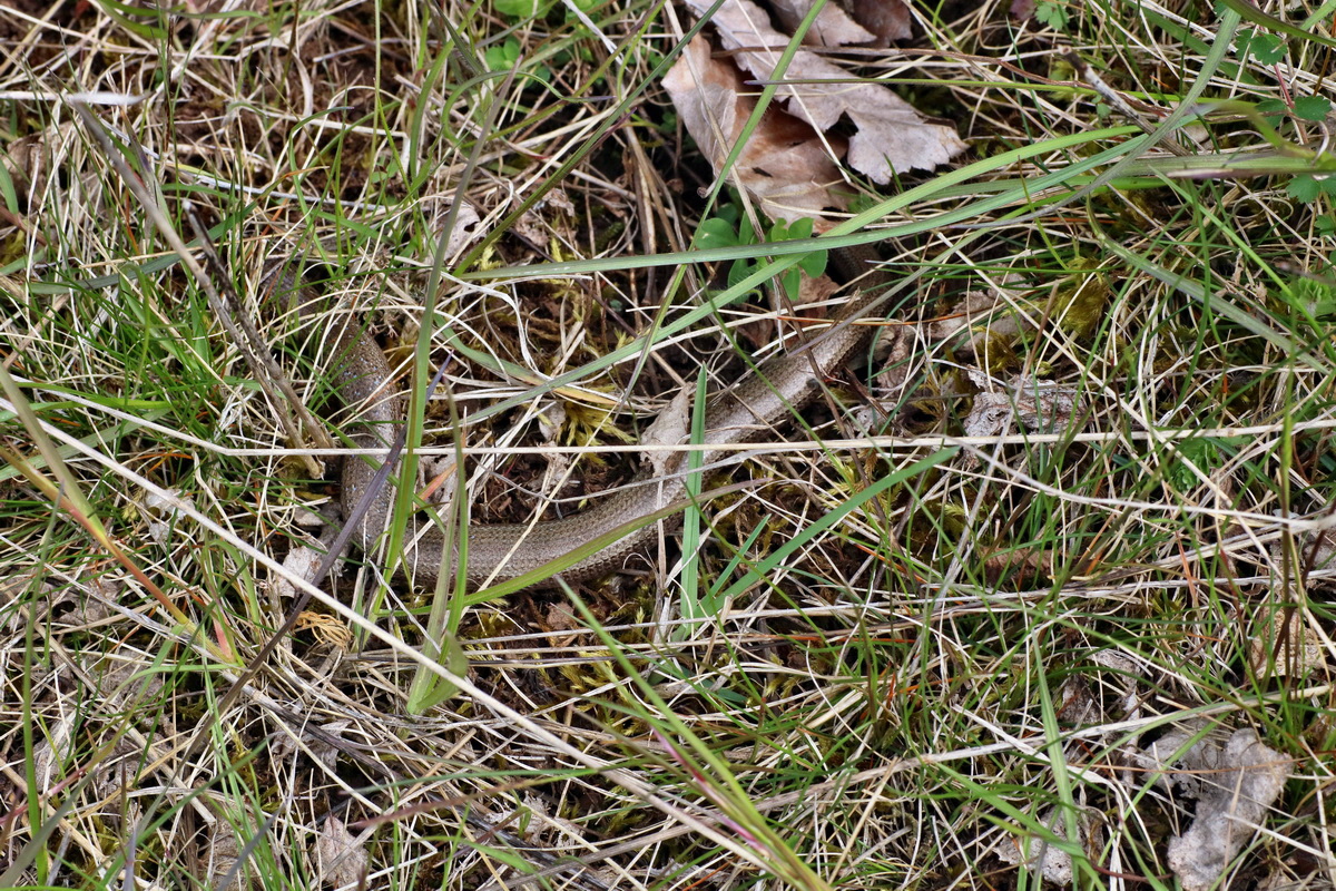 IMG-2016-04-29-00013173p_Bildgr��e �ndern