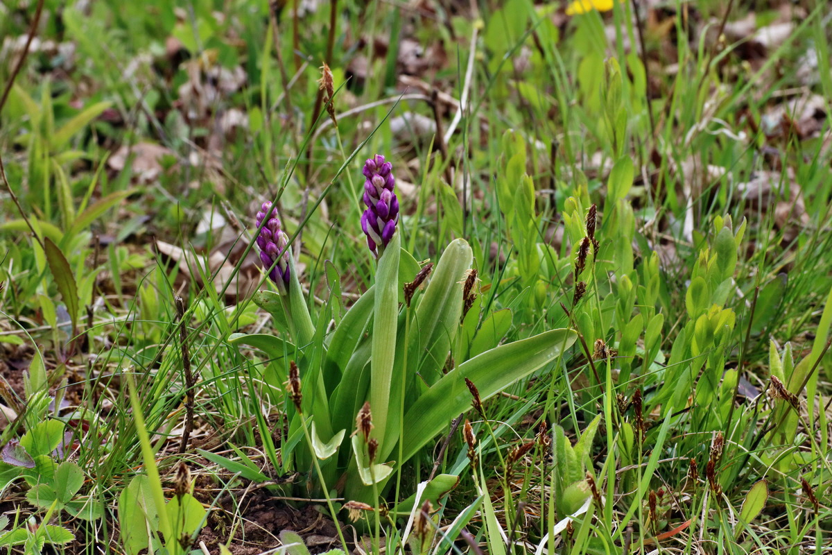 IMG-2016-04-29-00013179p_Bildgr��e �ndern