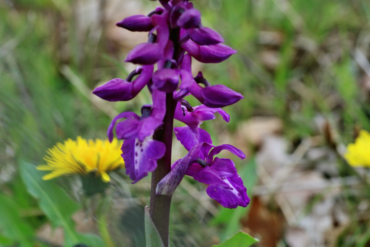 IMG-2016-04-29-00013182p_Bildgr��e �ndern