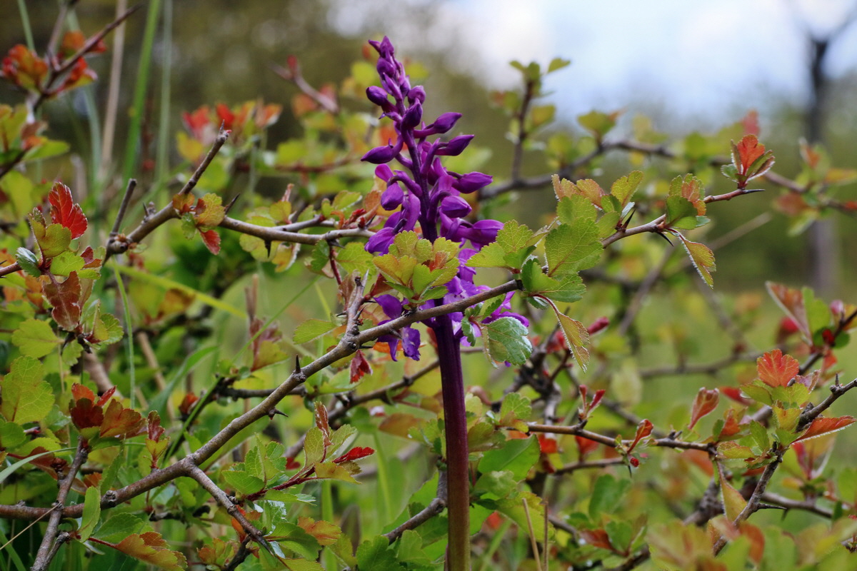 IMG-2016-04-29-00013185p_Bildgr��e �ndern