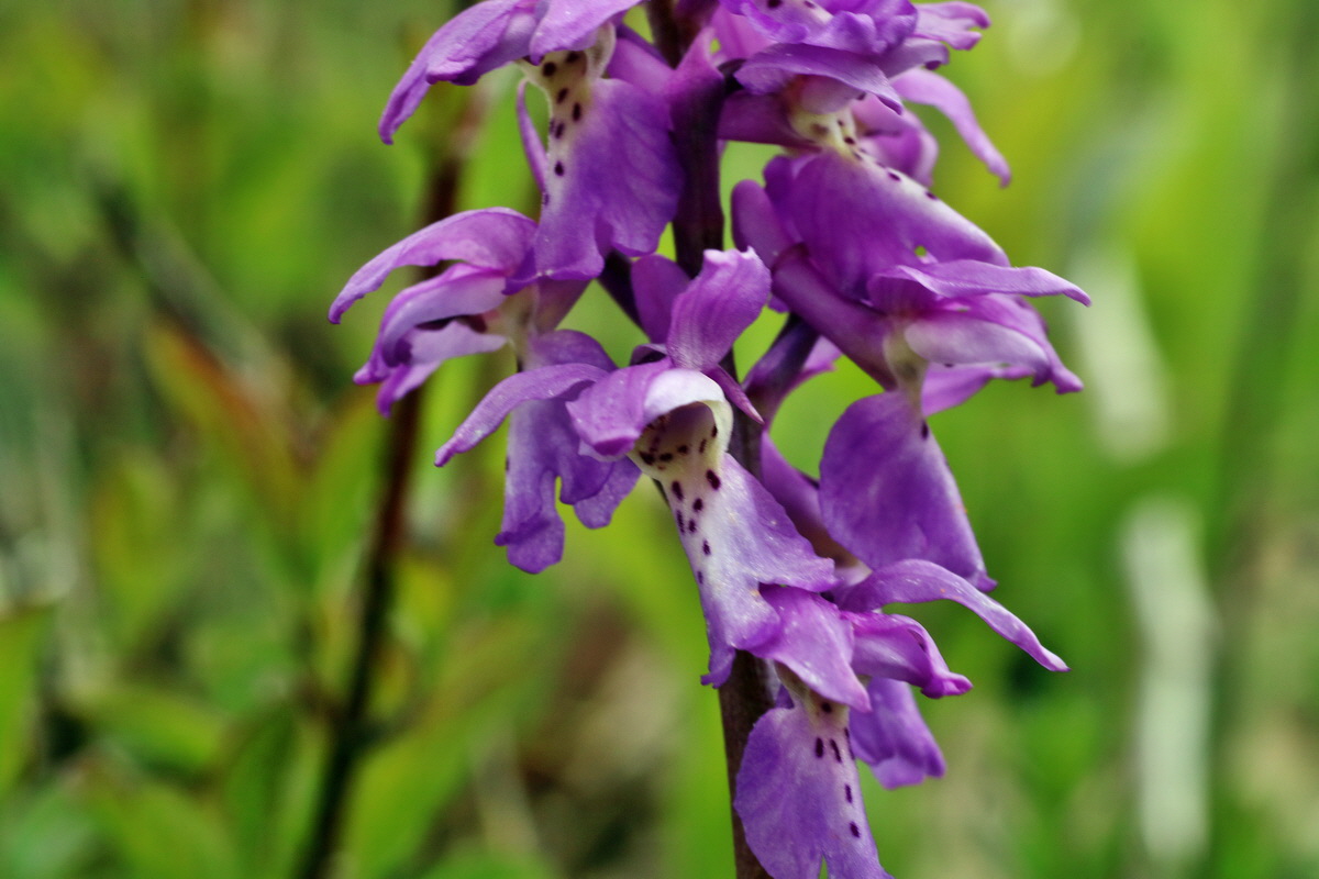 IMG-2016-04-29-00013188p_Bildgr��e �ndern