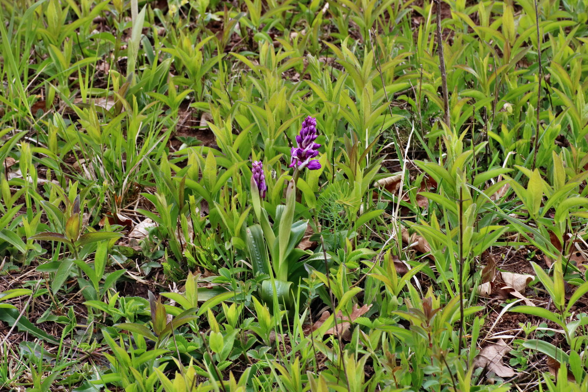 IMG-2016-04-29-00013196p_Bildgr��e �ndern