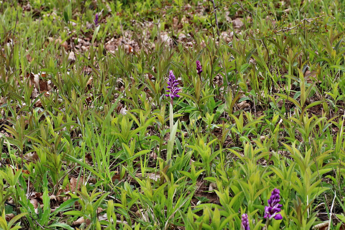 IMG-2016-04-29-00013198p_Bildgr��e �ndern