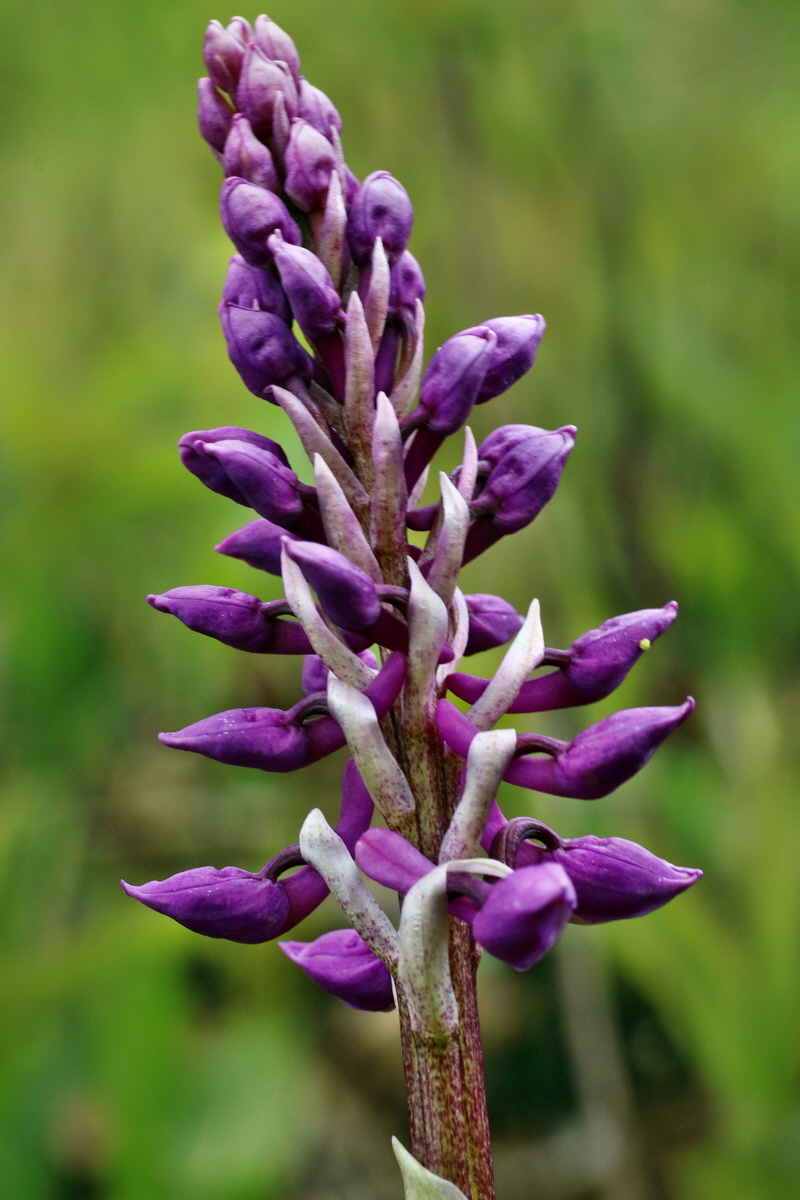 IMG-2016-04-29-00013201p_Bildgr��e �ndern