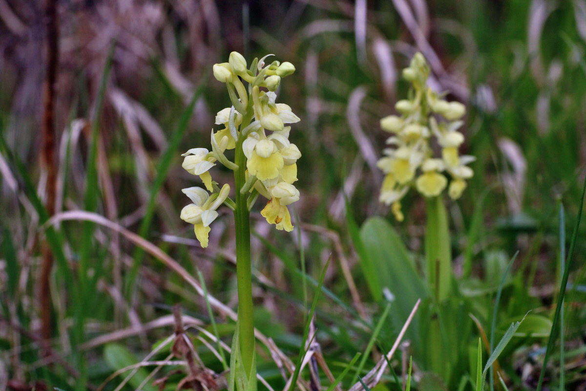 IMG-2016-04-30-00013216p_Bildgr��e �ndern