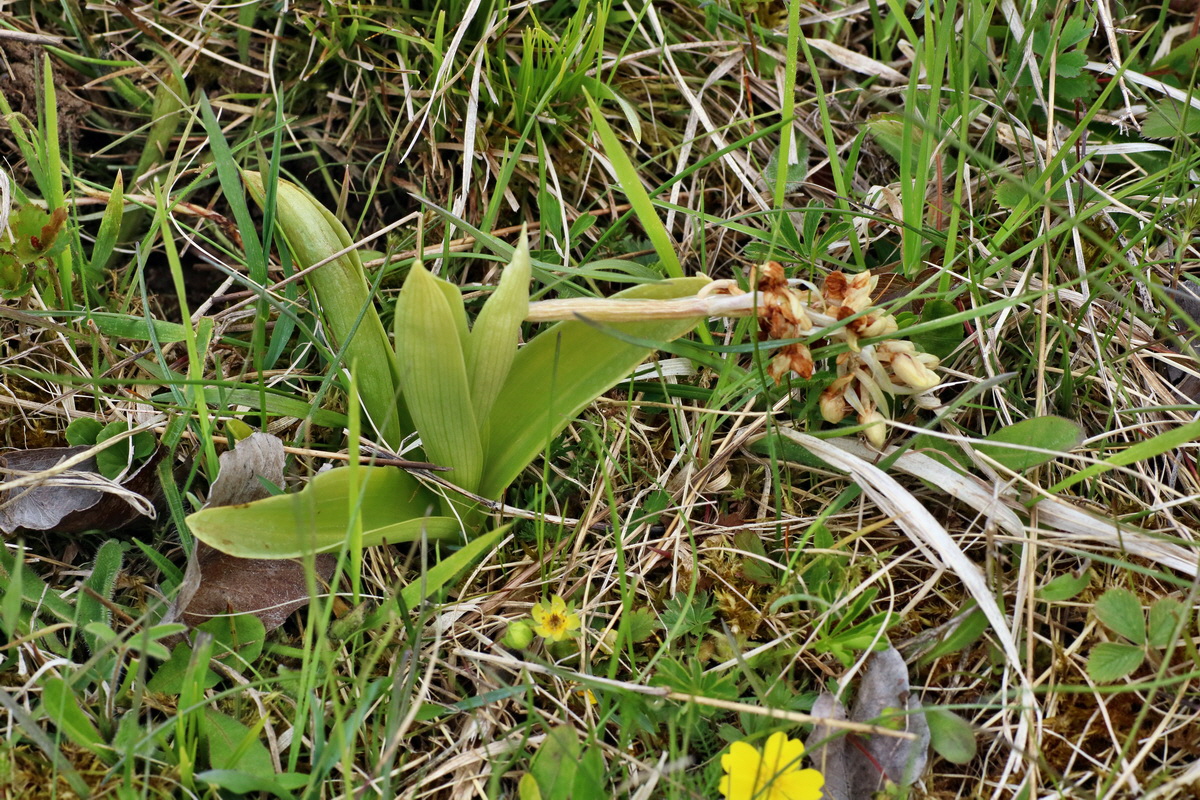 IMG-2016-04-30-00013218p_Bildgr��e �ndern