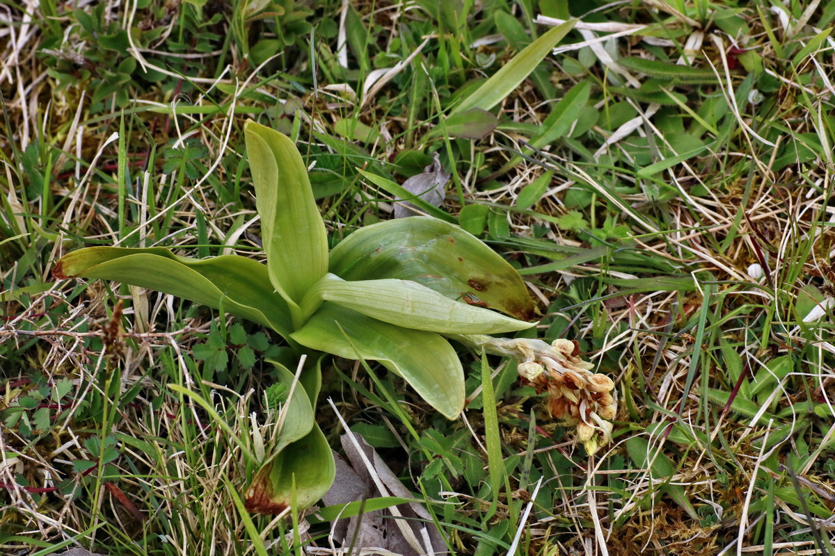 IMG-2016-04-30-00013222p_Bildgr��e �ndern