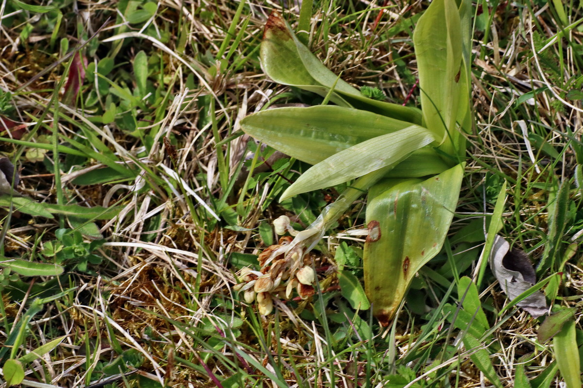 IMG-2016-04-30-00013226p_Bildgr��e �ndern