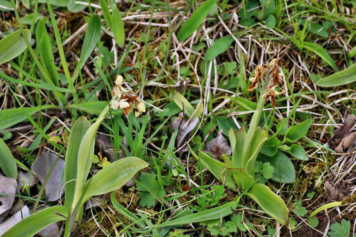 IMG-2016-04-30-00013236p_Bildgr��e �ndern