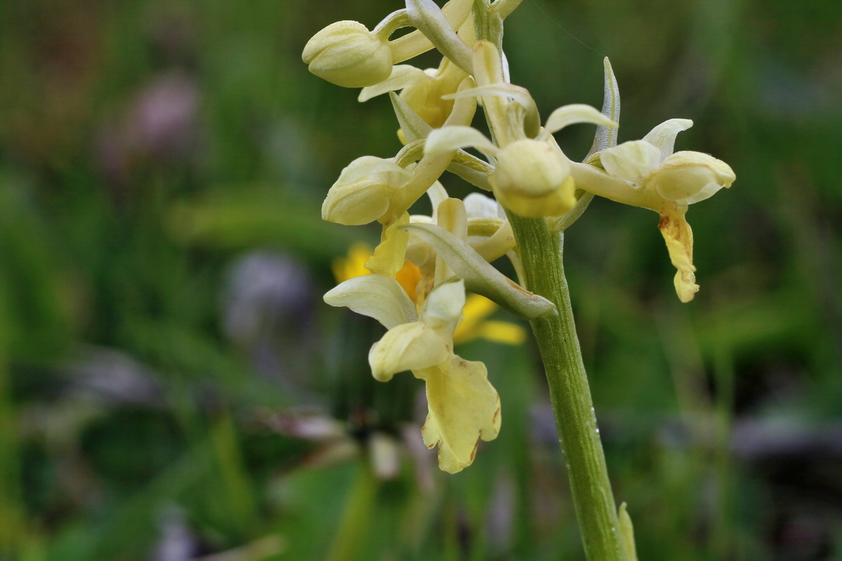 IMG-2016-04-30-00013238p_Bildgr��e �ndern