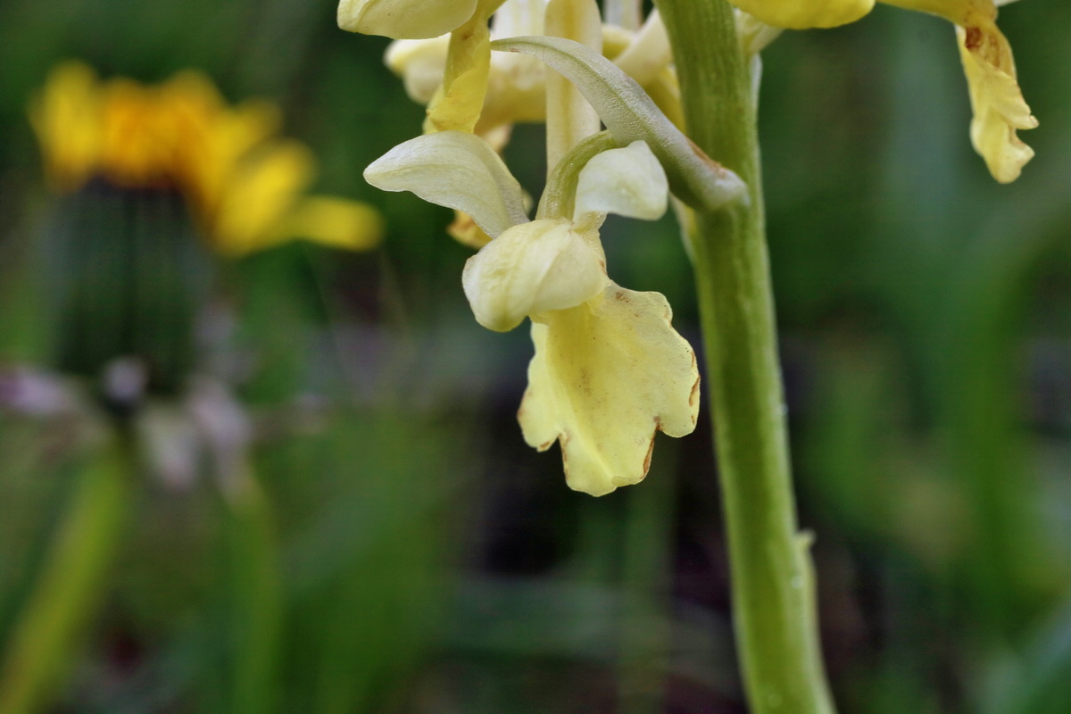 IMG-2016-04-30-00013245p_Bildgr��e �ndern