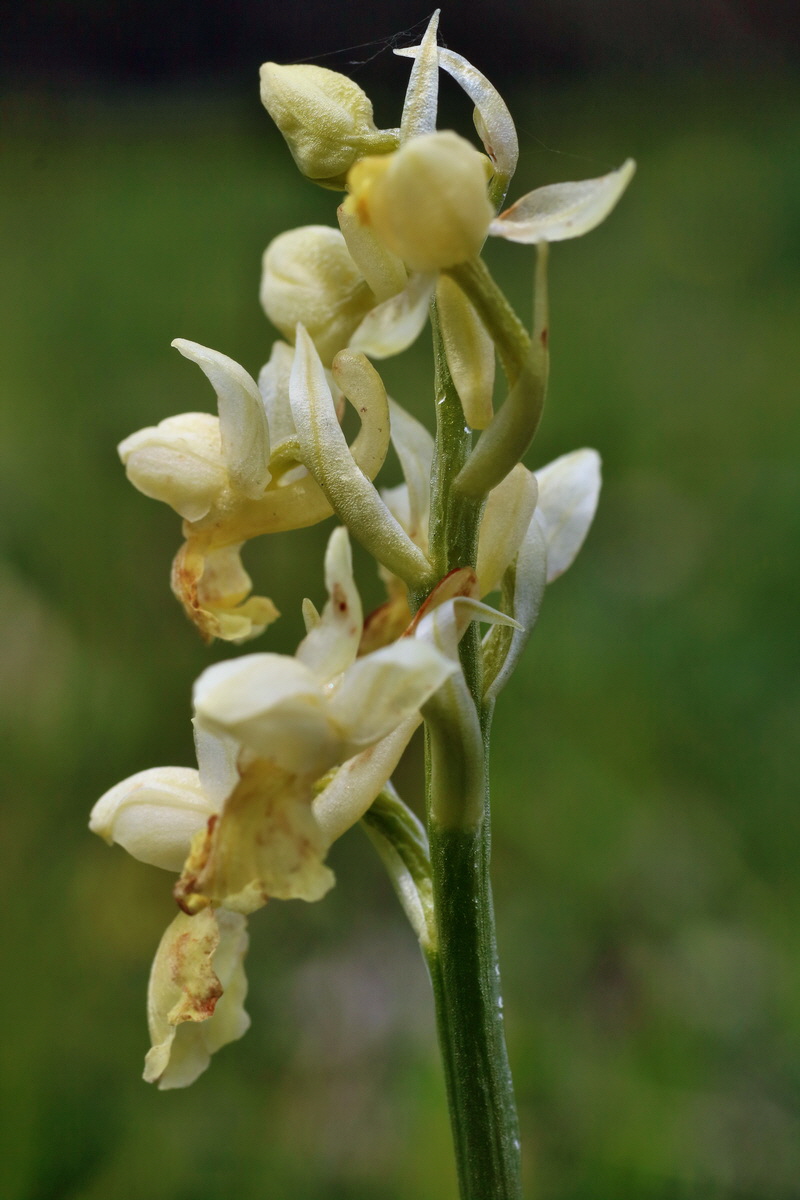 IMG-2016-04-30-00013248p_Bildgr��e �ndern