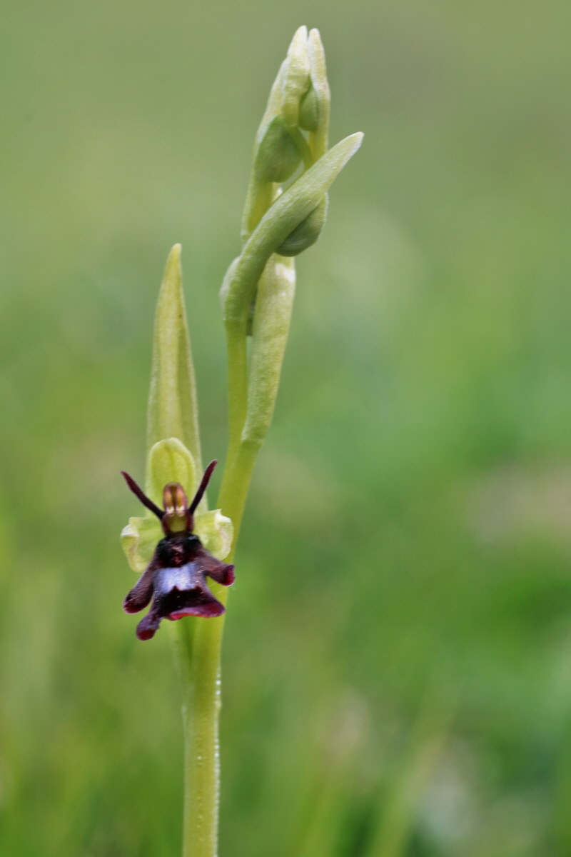 IMG-2016-04-30-00013251p_Bildgr��e �ndern