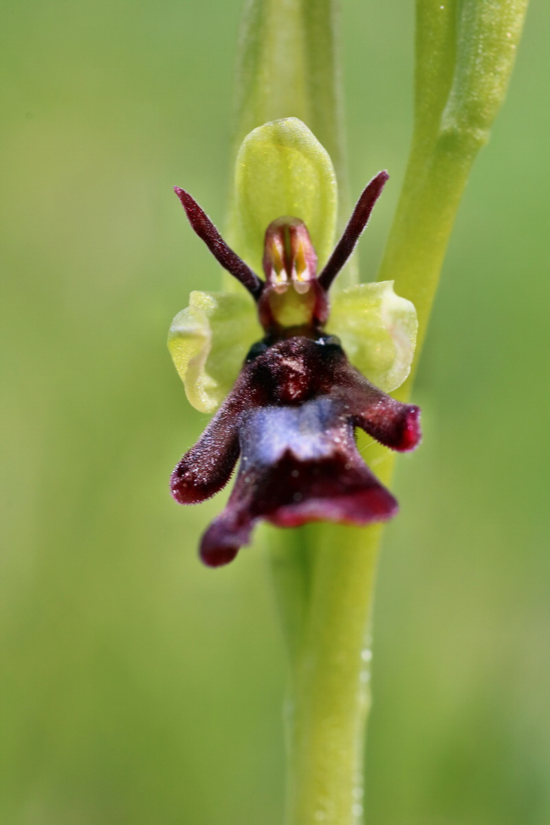 IMG-2016-04-30-00013255p_Bildgr��e �ndern