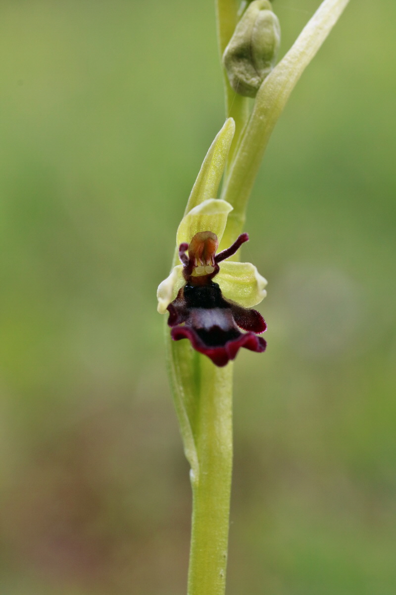 IMG-2016-04-30-00013258p_Bildgr��e �ndern