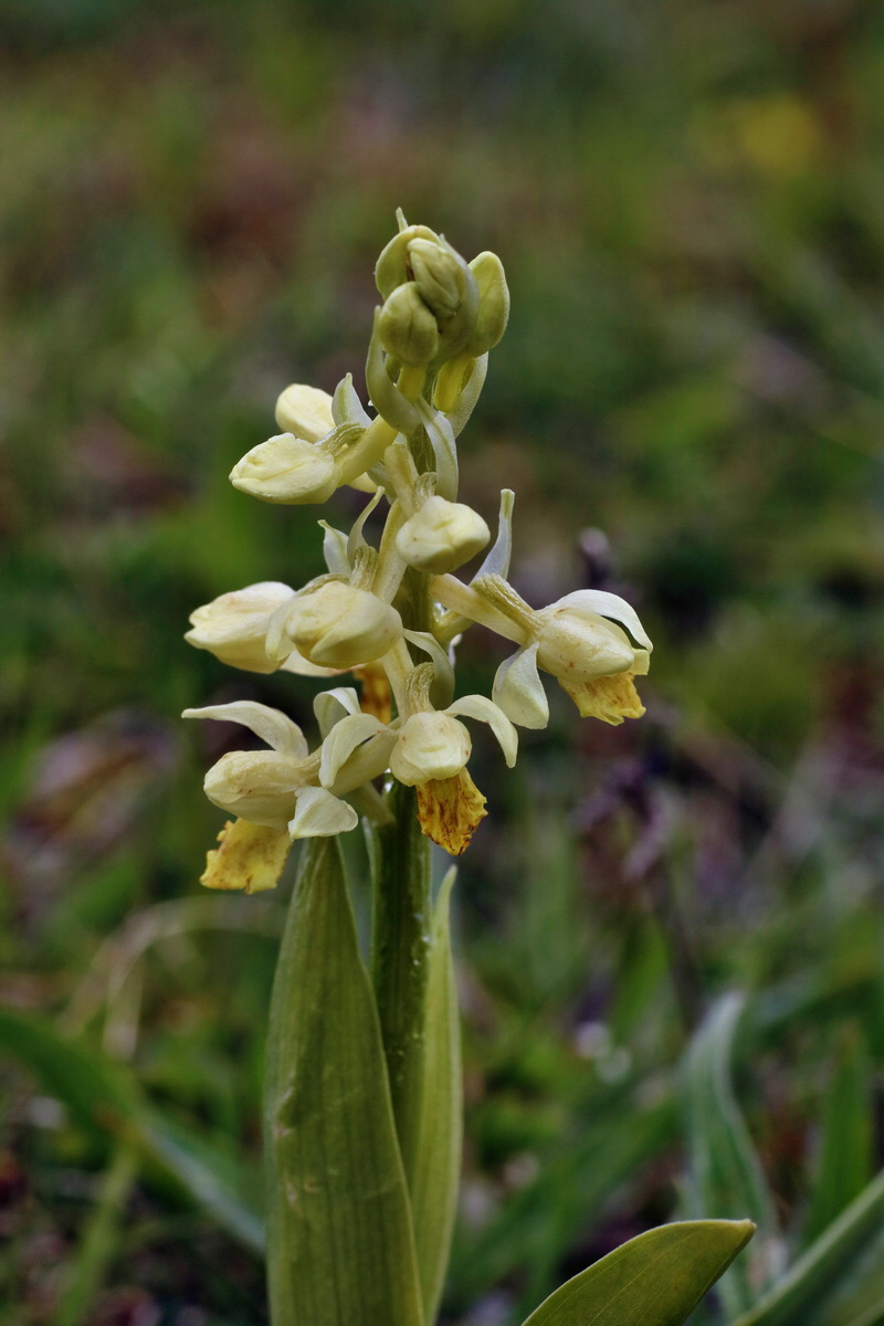 IMG-2016-04-30-00013268p_Bildgr��e �ndern