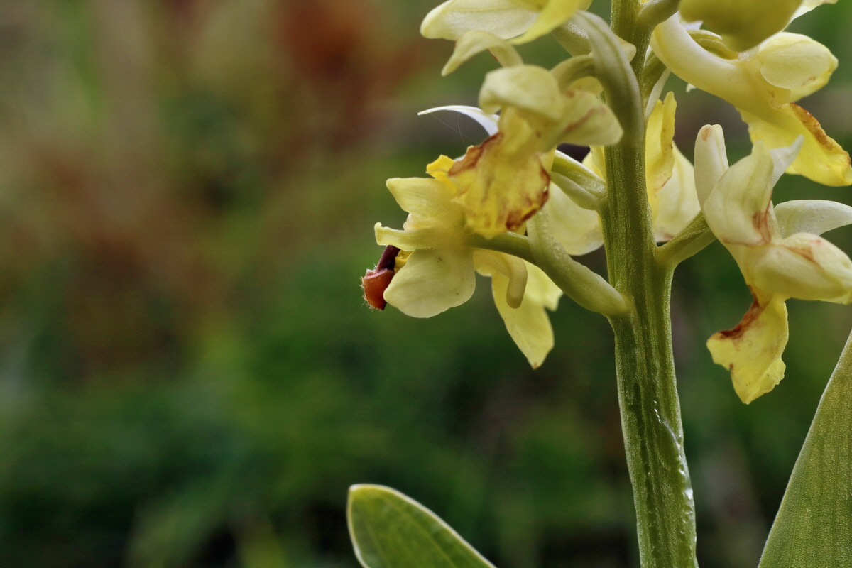 IMG-2016-04-30-00013274p_Bildgr��e �ndern