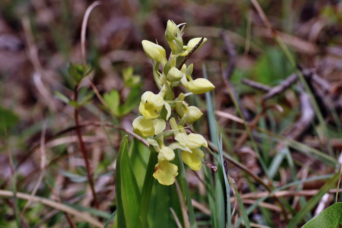 IMG-2016-04-30-00013282p_Bildgr��e �ndern