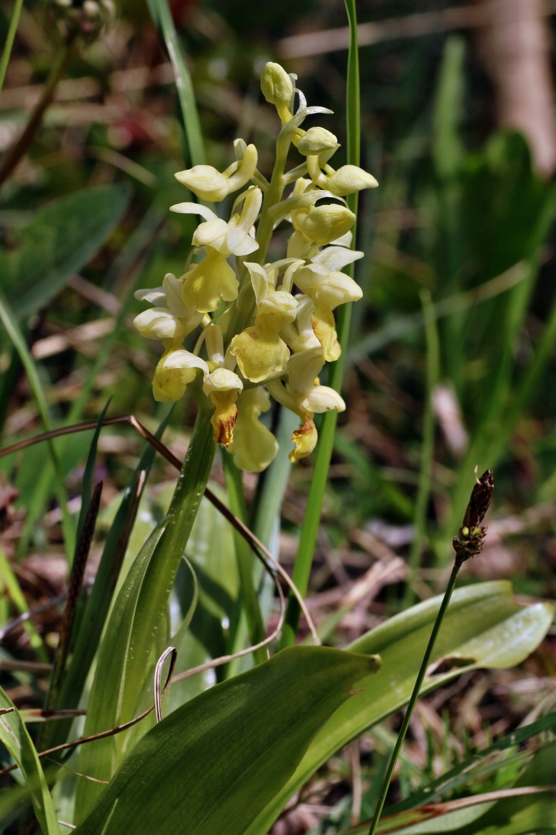 IMG-2016-04-30-00013287p_Bildgr��e �ndern