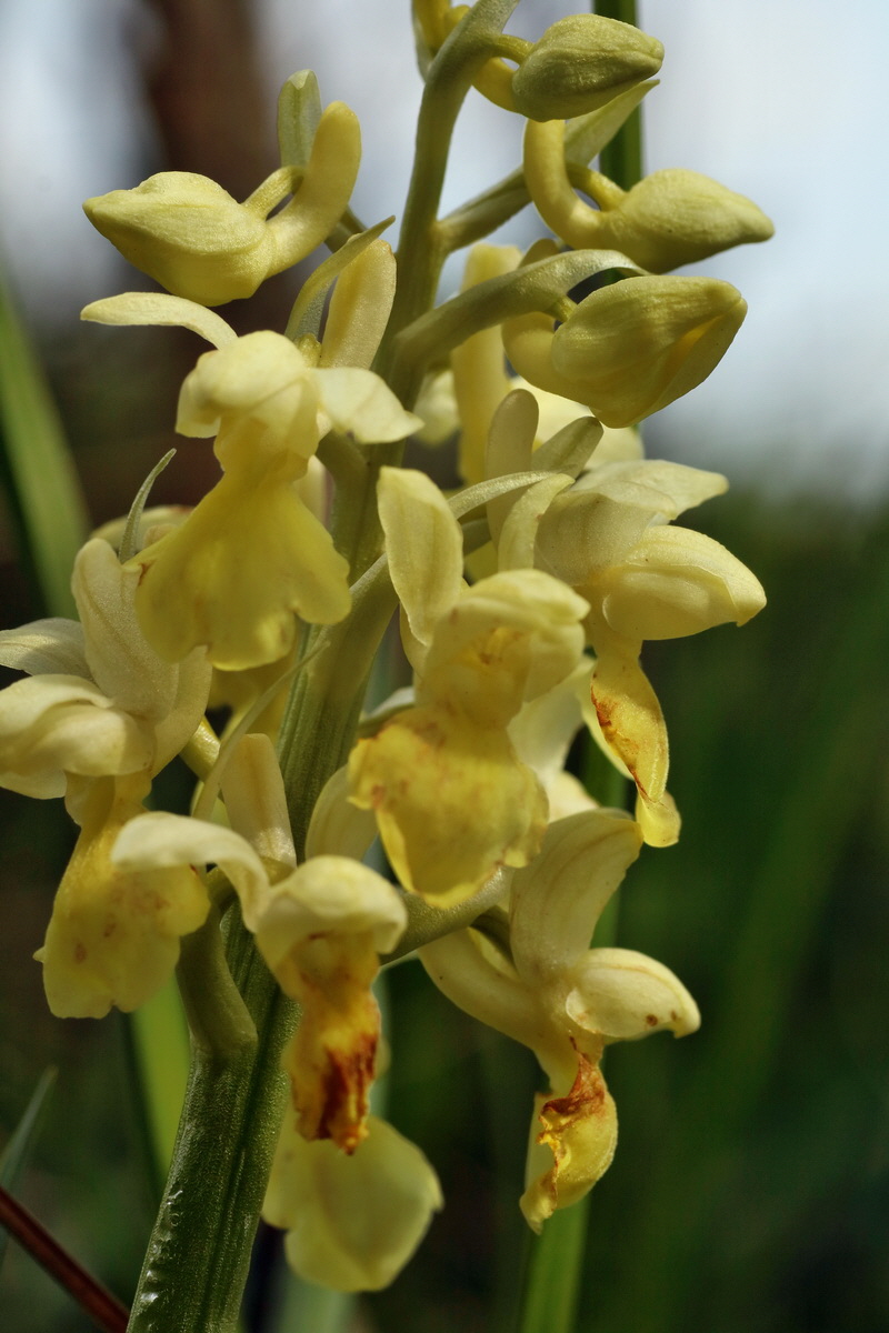 IMG-2016-04-30-00013293p_Bildgr��e �ndern