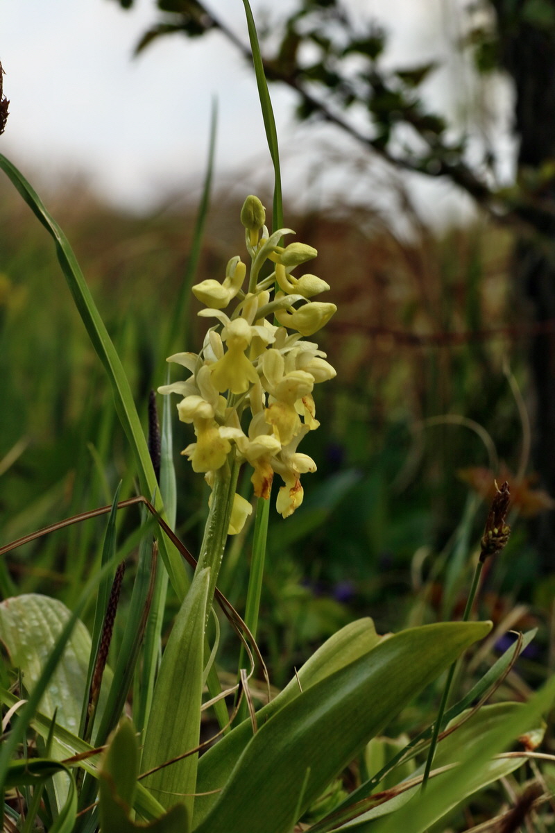 IMG-2016-04-30-00013304p_Bildgr��e �ndern