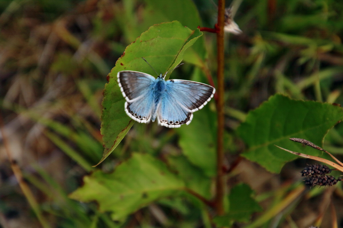 IMG-2016-07-18-00020685p_Bildgr��e �ndern