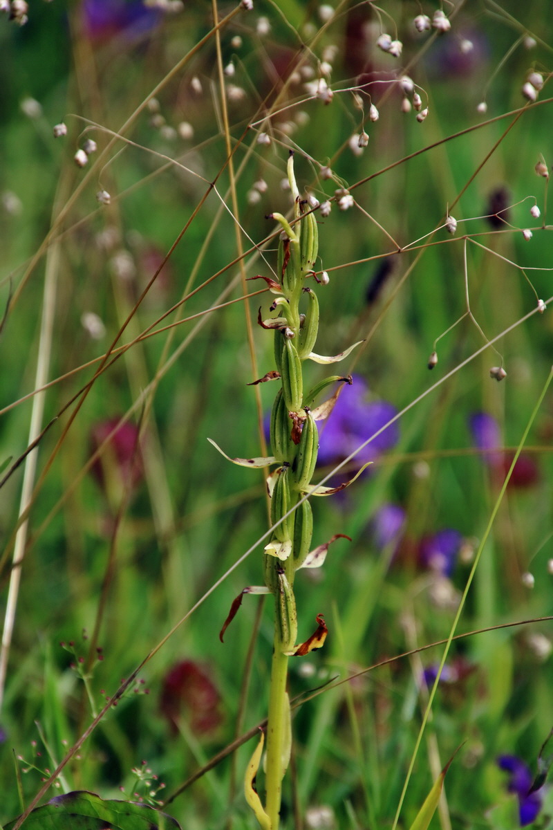 IMG-2016-07-18-00020689p_Bildgr��e �ndern