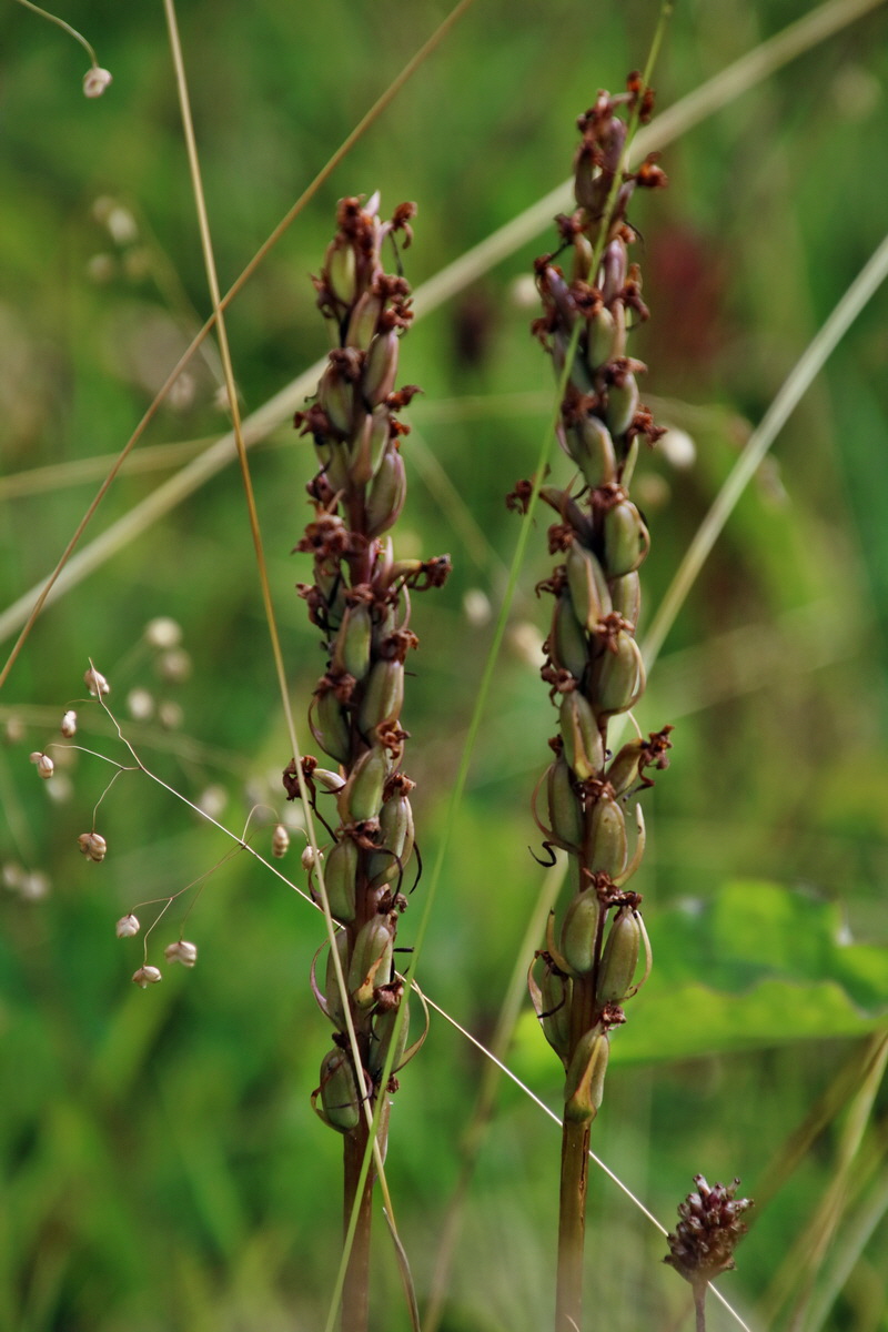 IMG-2016-07-18-00020691p_Bildgr��e �ndern