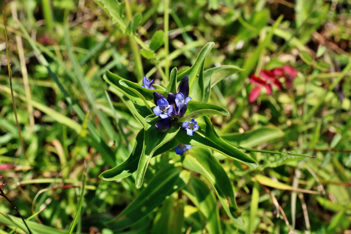 IMG-2016-07-18-00020706p_Bildgr��e �ndern