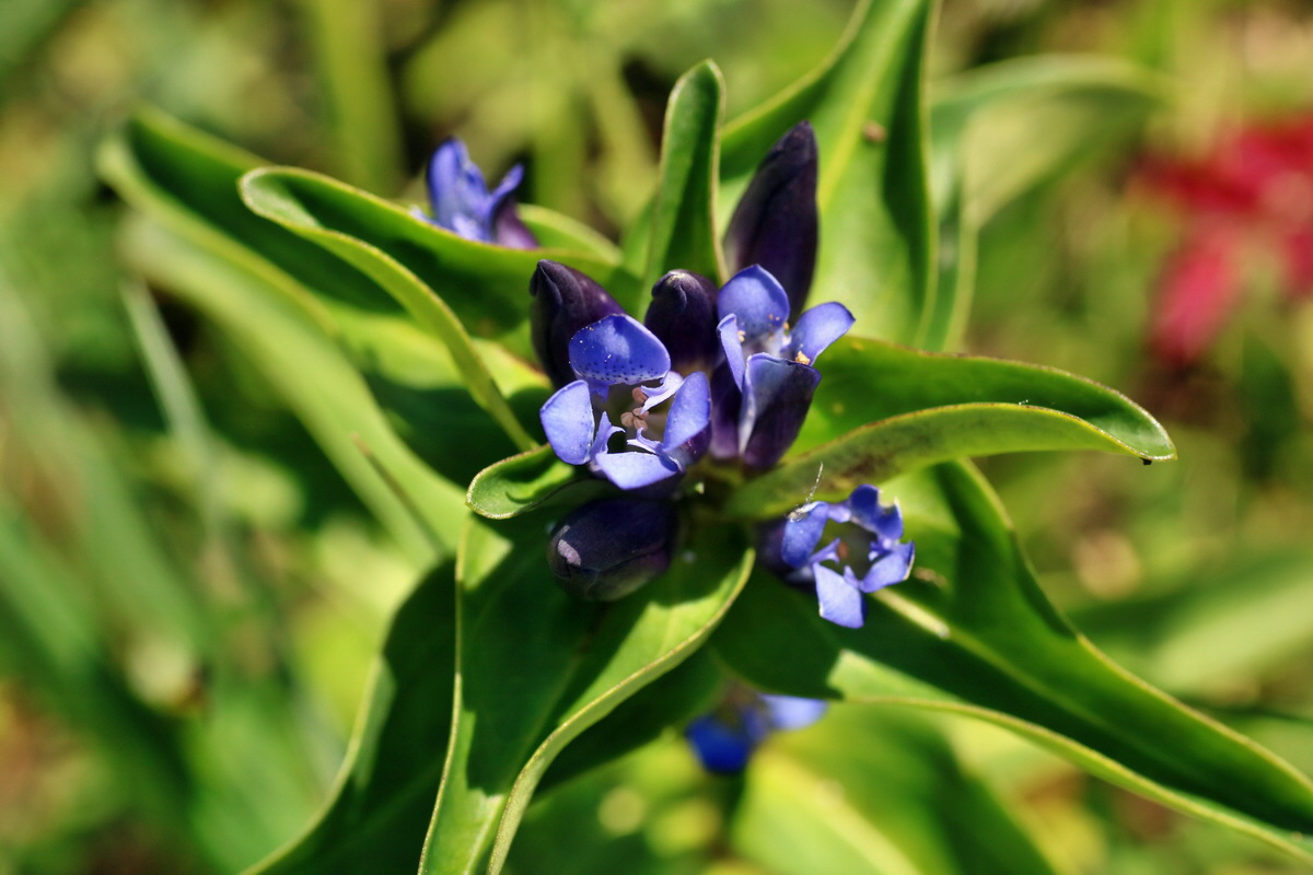 IMG-2016-07-18-00020707p_Bildgr��e �ndern