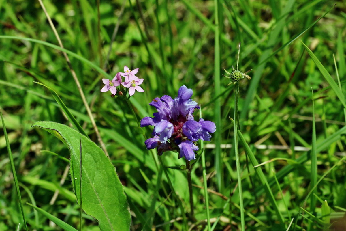 IMG-2016-07-18-00020712p_Bildgr��e �ndern