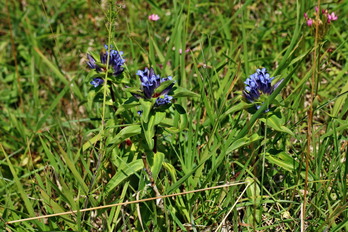 IMG-2016-07-18-00020715p_Bildgr��e �ndern