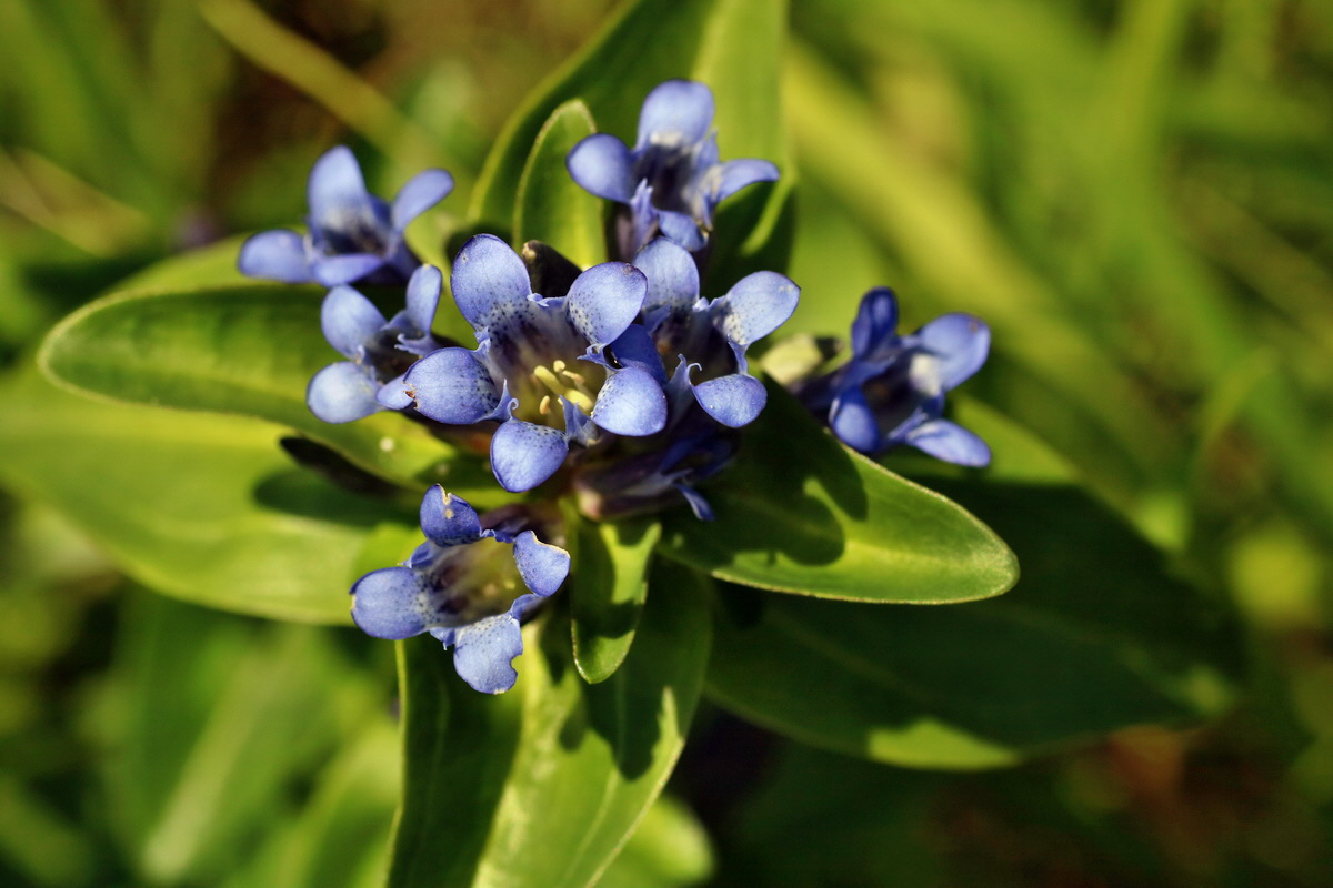 IMG-2016-07-18-00020716p_Bildgr��e �ndern