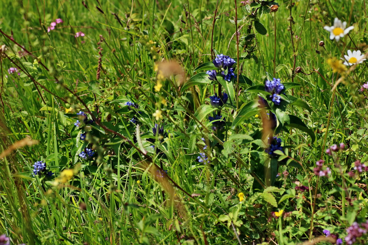 IMG-2016-07-18-00020720p_Bildgr��e �ndern