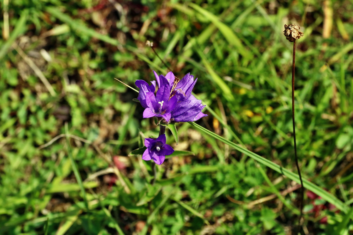 IMG-2016-07-18-00020725p_Bildgr��e �ndern