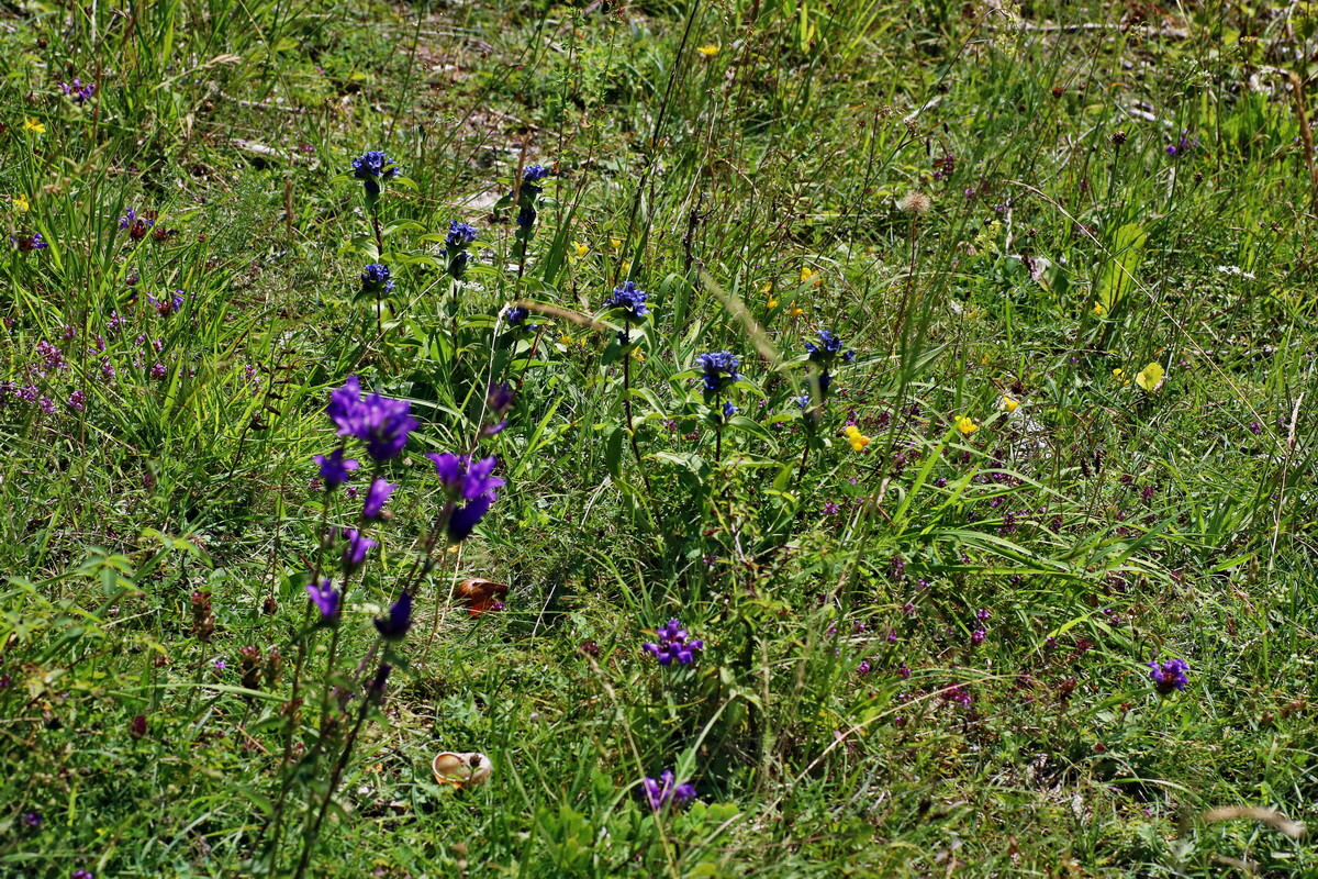 IMG-2016-07-18-00020728p_Bildgr��e �ndern