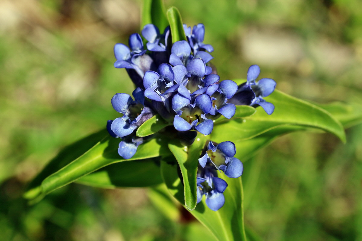 IMG-2016-07-18-00020731p_Bildgr��e �ndern