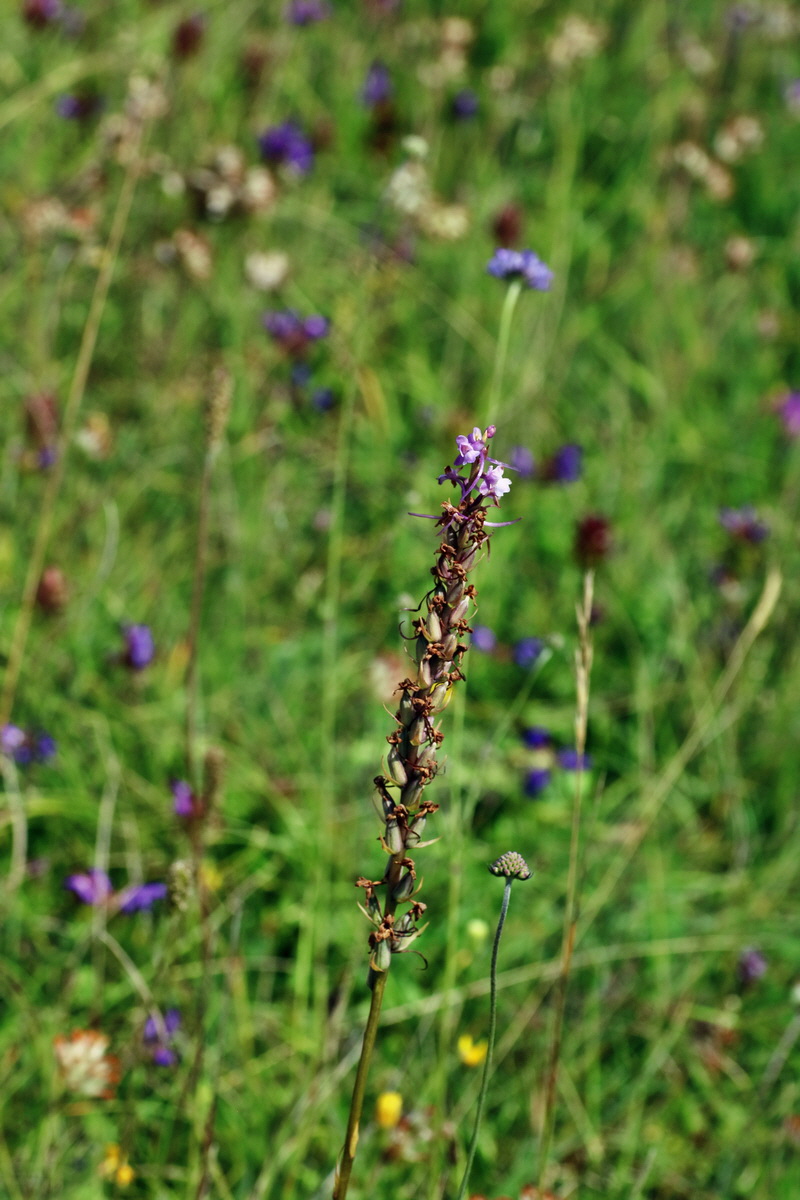 IMG-2016-07-18-00020740p_Bildgr��e �ndern