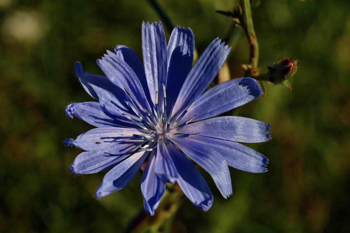 IMG-2016-07-19-00020755p_Bildgr��e �ndern