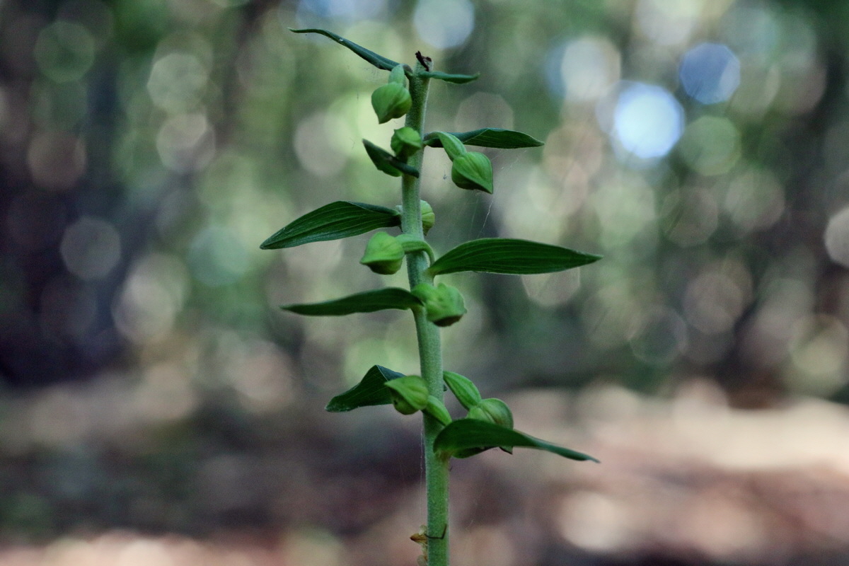 IMG-2016-07-19-00020768p_Bildgr��e �ndern