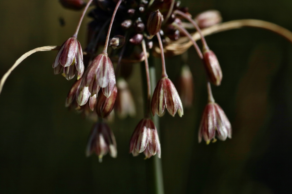 IMG-2016-07-19-00020821p_Bildgr��e �ndern