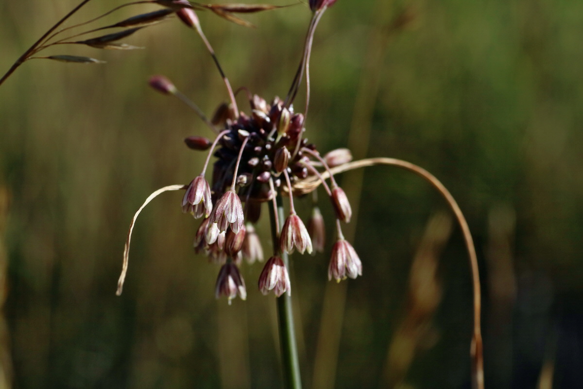 IMG-2016-07-19-00020824p_Bildgr��e �ndern