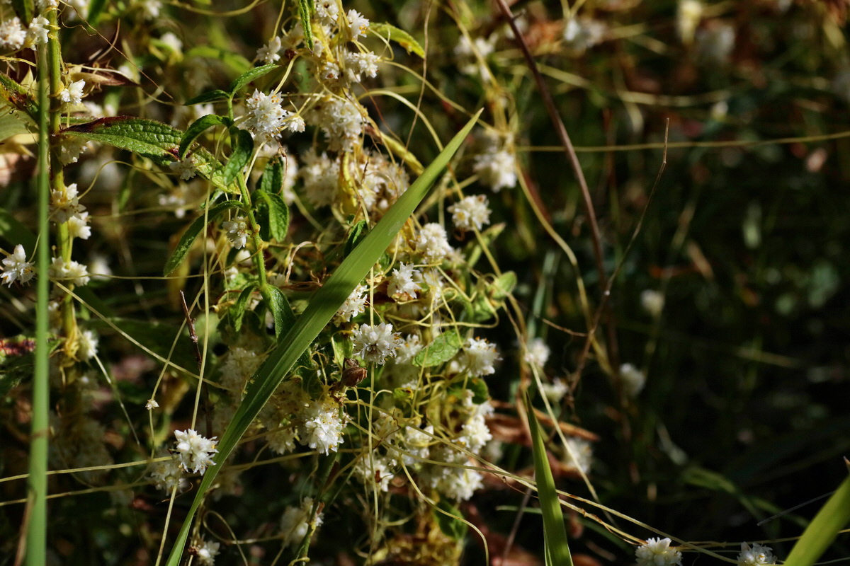 IMG-2016-07-19-00020832p_Bildgr��e �ndern