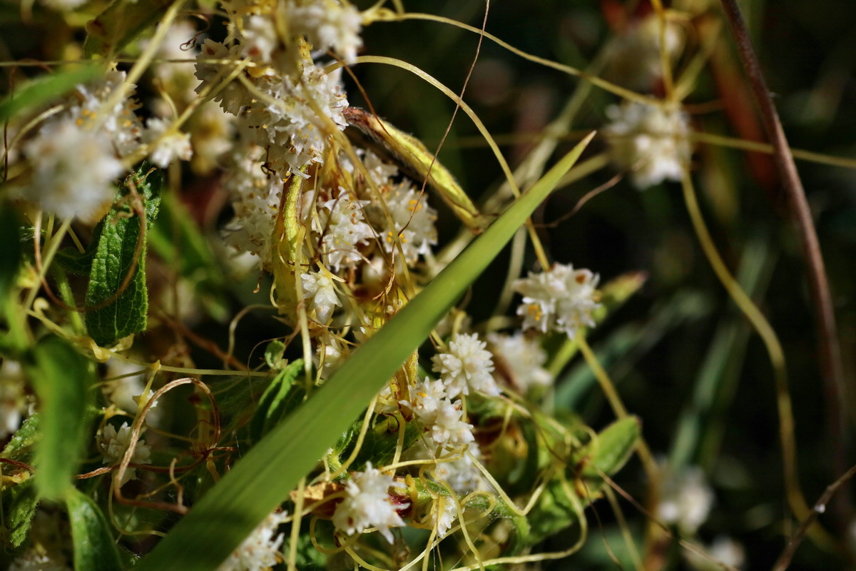 IMG-2016-07-19-00020834p_Bildgr��e �ndern