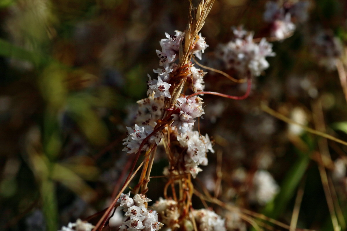 IMG-2016-07-19-00020835p_Bildgr��e �ndern