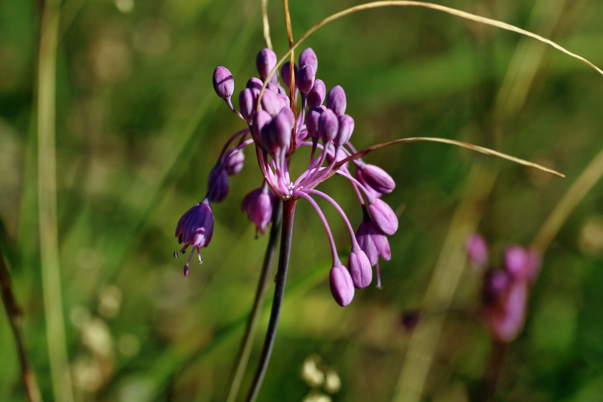 IMG-2016-07-19-00020846p_Bildgr��e �ndern