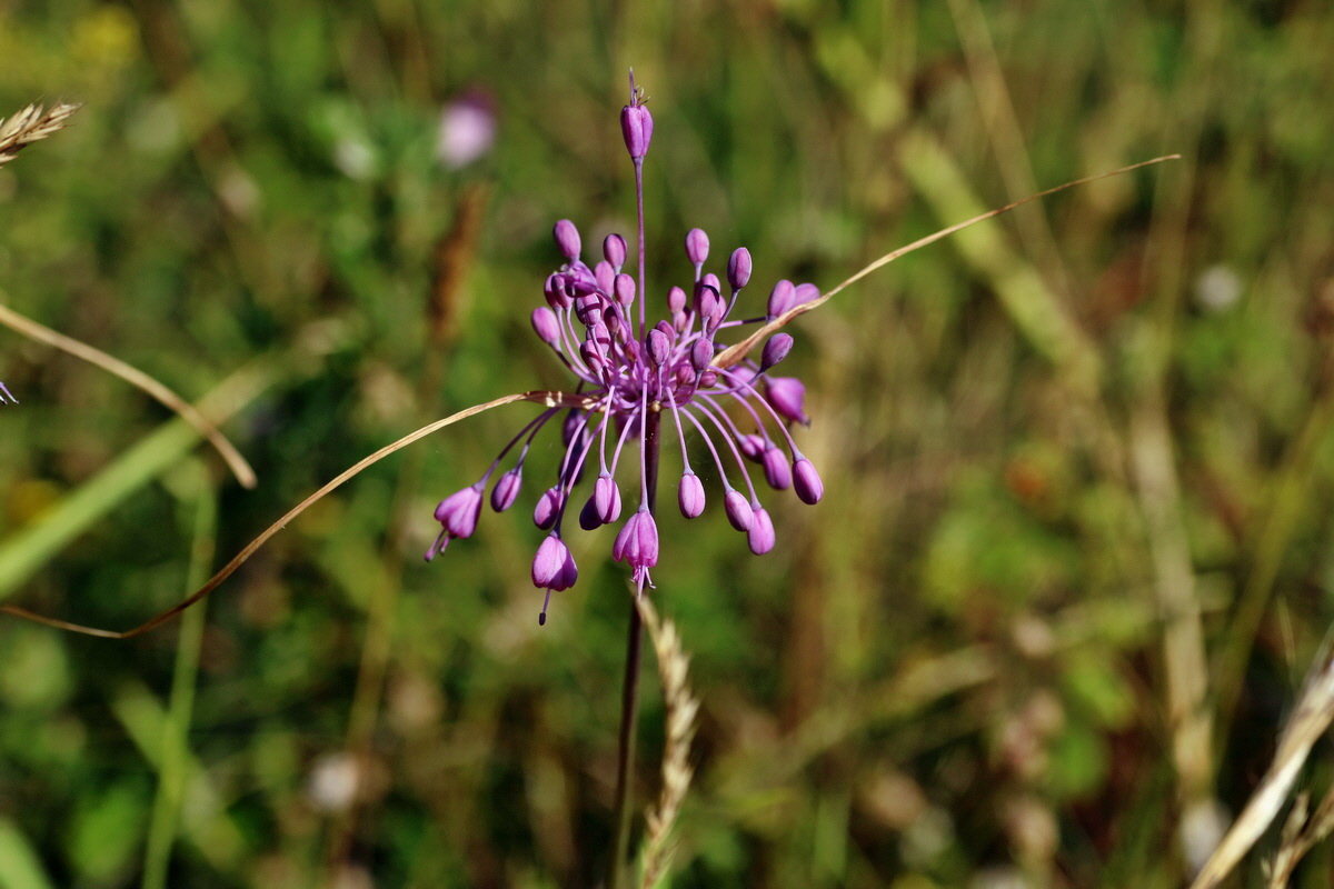 IMG-2016-07-19-00020848p_Bildgr��e �ndern