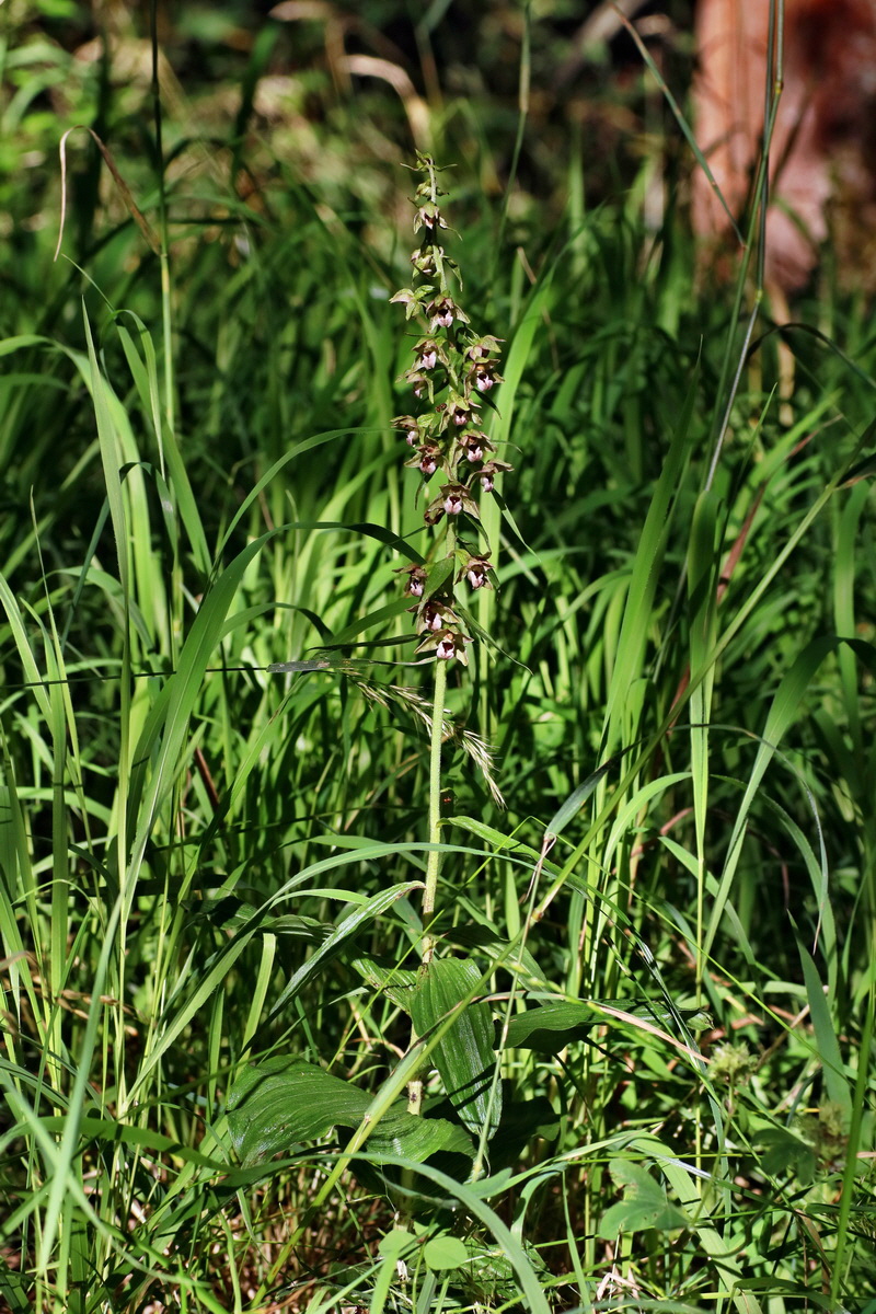 IMG-2016-07-20-00020852p_Bildgr��e �ndern