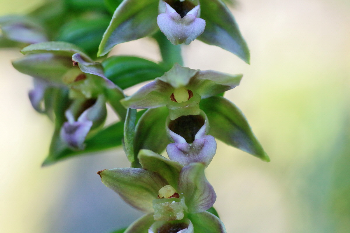 IMG-2016-07-20-00020872p_Bildgr��e �ndern