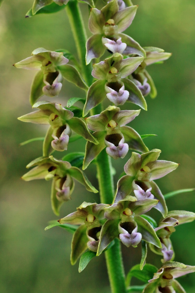 IMG-2016-07-20-00020879p_Bildgr��e �ndern